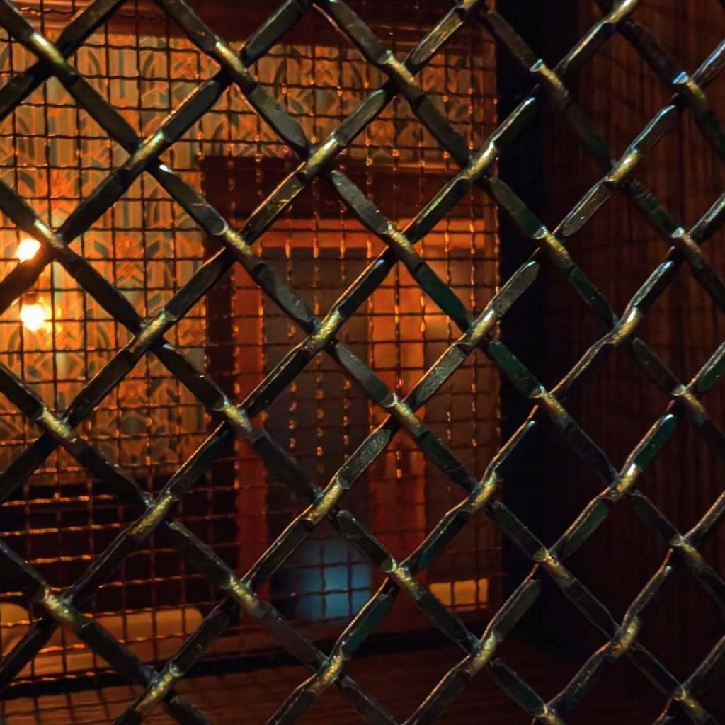 Looking through the iron grate into Artemis